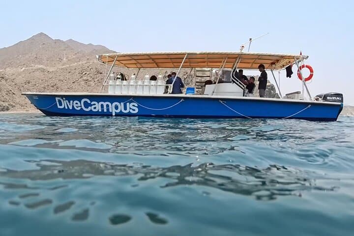From Dubai to Khorfakkan: Two Dives & Discover Scuba on the UAE East Coast photo 2