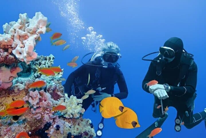 Hurghada Full-Day Two-Dive Boat Trip: Red Sea Scuba Adventure