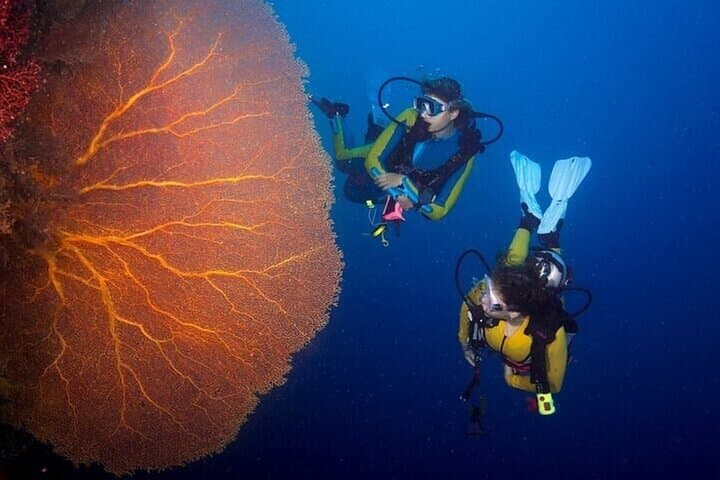Hurghada Full-Day Two-Dive Boat Trip: Red Sea Scuba Adventure photo 2