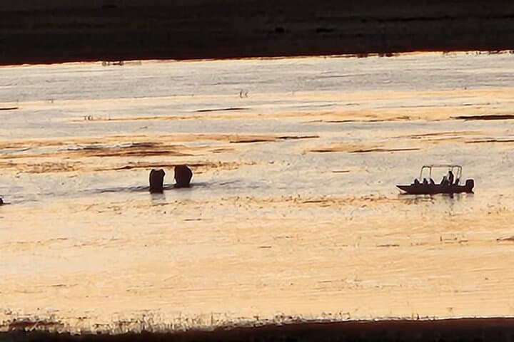 Chobe Sunrise River Safari: First-Light Wildlife Cruise from Kasane photo 2