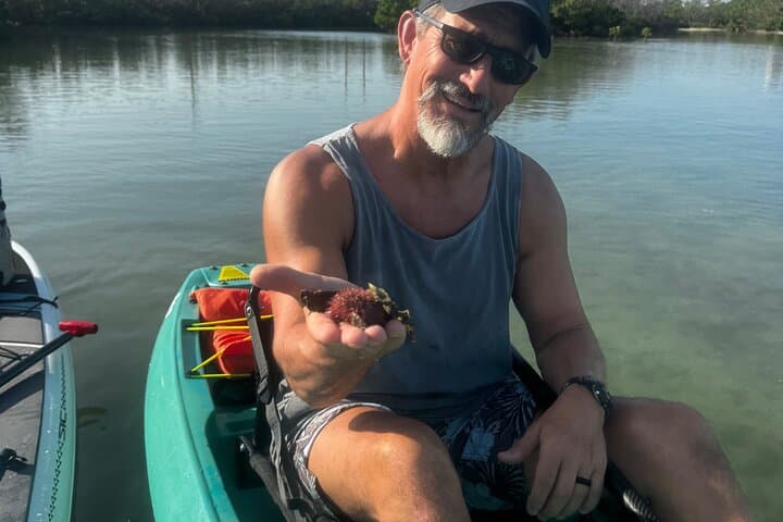 Clear Kayak Rentals at Big Hickory Island — Self-Guided EcoTour in Bonita Springs photo 3