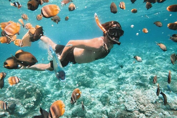 Bali Blue Lagoon Snorkeling: All-Inclusive Boat Tour with Lunch photo 1