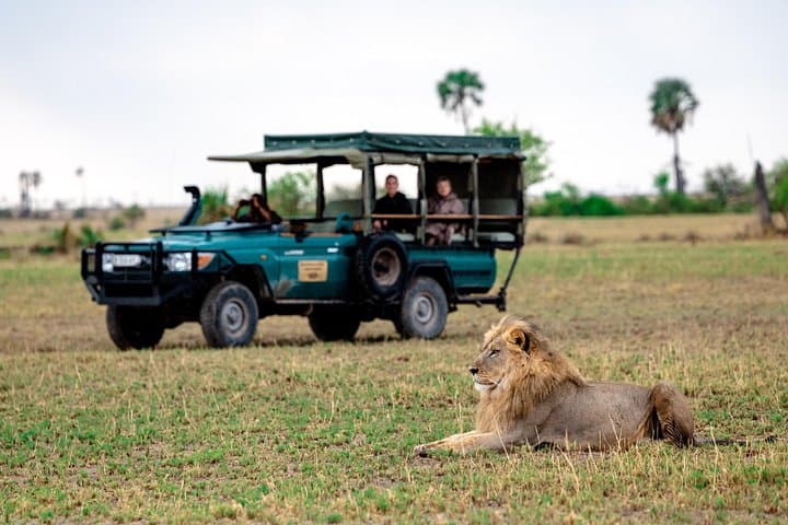 Full-Day Private Pilanesberg Safari: Big Five Game Drive from Johannesburg photo 1