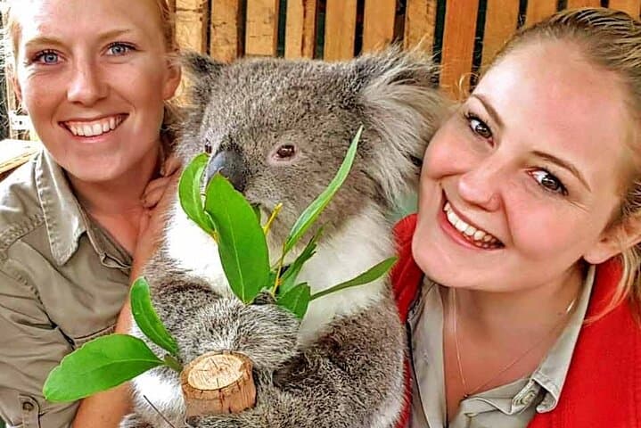 Phillip Island Day Tour: Penguins, Kangaroos & Coastal Highlights (Small-Group) photo 4
