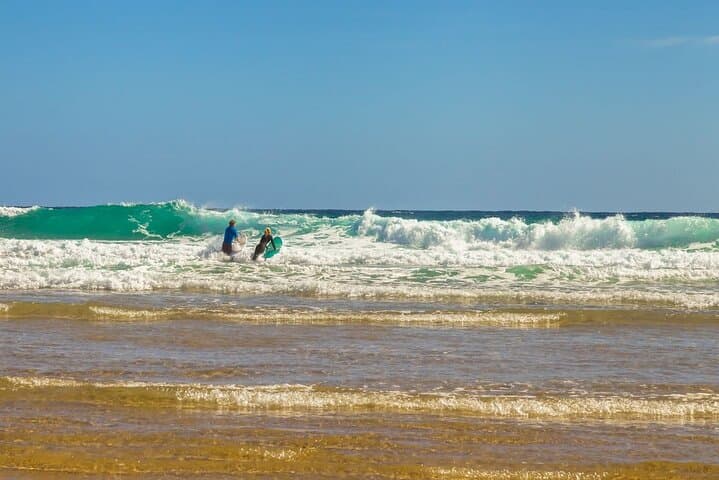 Phillip Island Day Tour: Penguins, Kangaroos & Coastal Highlights (Small-Group) photo 5