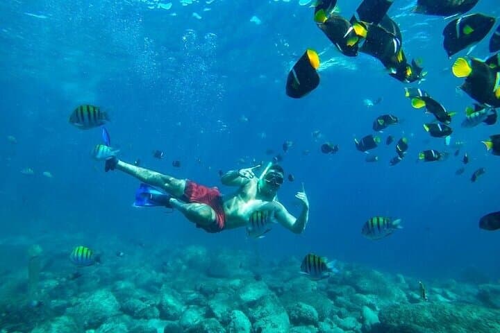 Los Cabos Platinum Snorkel Experience: Santa Maria Bay Catamaran Tour photo 6