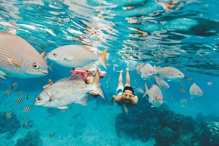 Los Cabos Platinum Snorkel Experience: Santa Maria Bay Catamaran Tour photo 3
