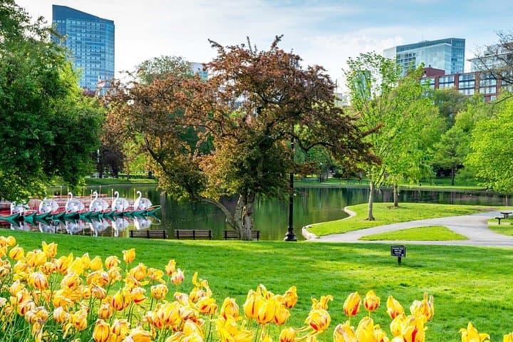 Walk the Scenes: Boston’s Film & TV Locations Half-Day Tour photo 3
