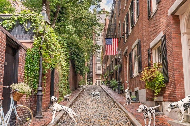 Walk the Scenes: Boston’s Film & TV Locations Half-Day Tour photo 5