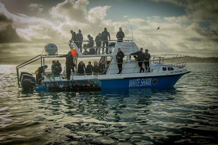 Hermanus Whale Watching Day Trip From Cape Town photo 2