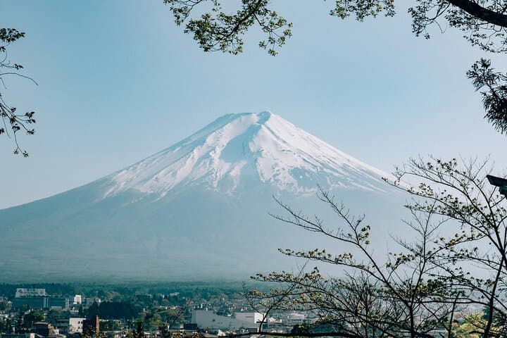 Private Mount Fuji Day Tour from Tokyo: 5th Station, Hakone & Lake Kawaguchi in One Day photo 6