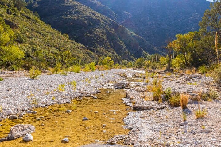 Self-Guided Guadalupe Mountains Audio Driving Tour: Drive, Hike & Discover El Capitan photo 4