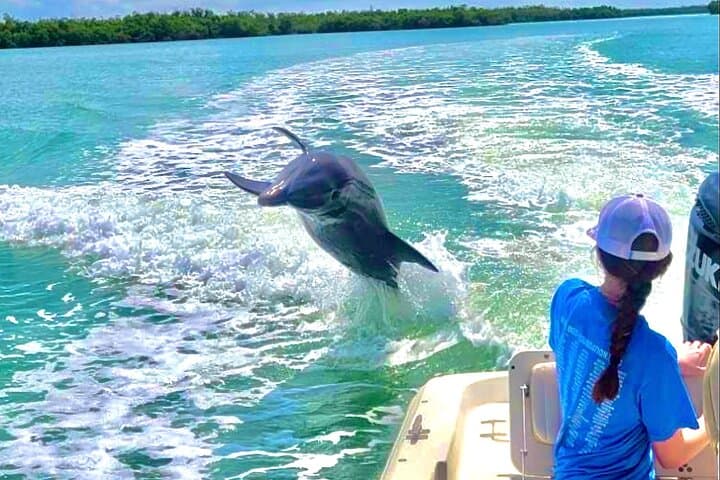 Private Shelling and Dolphin Excursion in the 10,000 Islands from Goodland photo 4