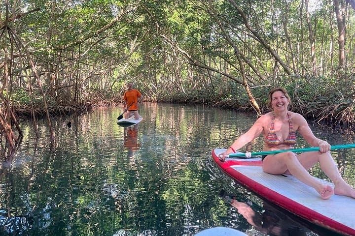 Mangrove Paddle Ride Sainte-Anne, Guadeloupe — Stand‑Up Paddle Through Protected Mangroves photo 6