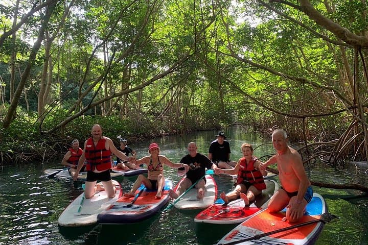 Mangrove Paddle Ride Sainte-Anne, Guadeloupe — Stand‑Up Paddle Through Protected Mangroves