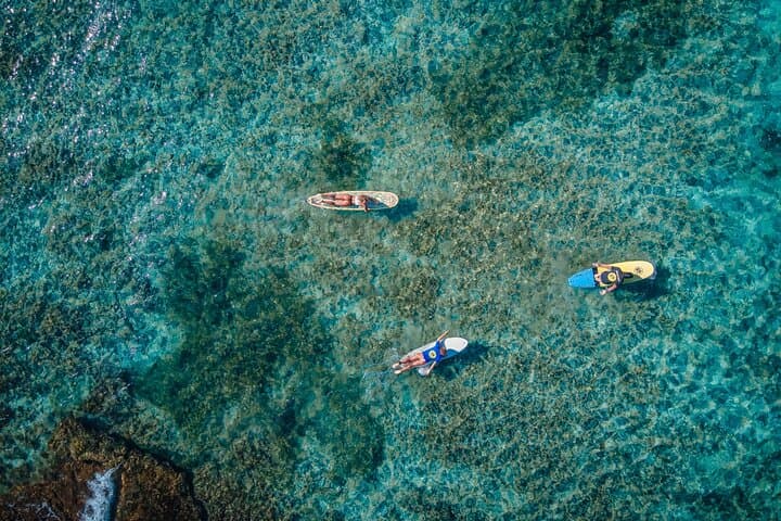 Private Surf Lessons in Guadeloupe — Personalized Coaching on Grande-Terre Waves photo 6