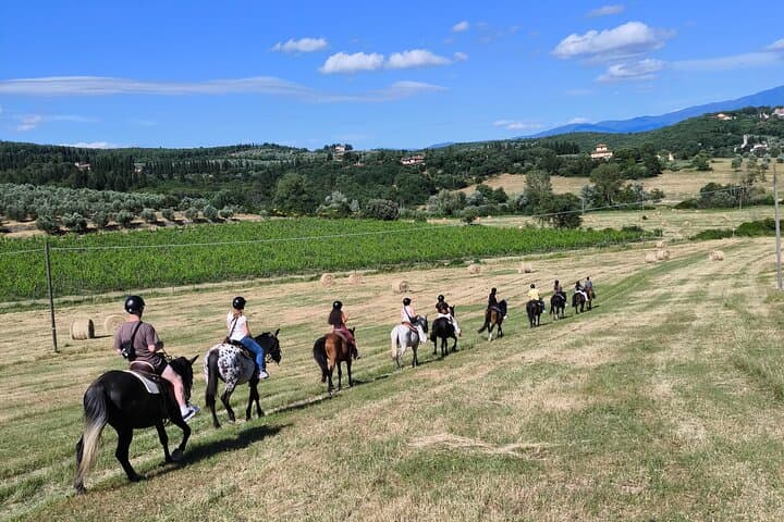 Horseback Riding Through Chianti Vineyards: A 90-Minute Tuscan Trail Ride photo 2