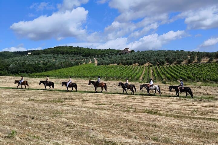Horseback Riding Through Chianti Vineyards: A 90-Minute Tuscan Trail Ride