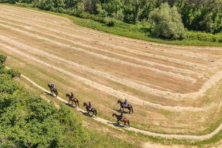 Horseback Riding Through Chianti Vineyards: A 90-Minute Tuscan Trail Ride photo 3