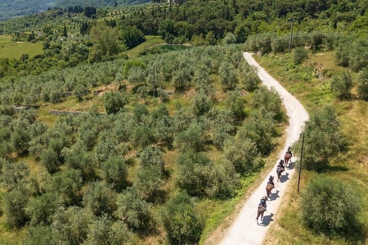 Horseback Riding Through Chianti Vineyards: A 90-Minute Tuscan Trail Ride photo 5