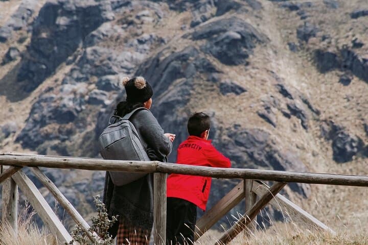 Half-Day El Cajas National Park Tour — Lagoons, Páramo & Local Culture photo 4