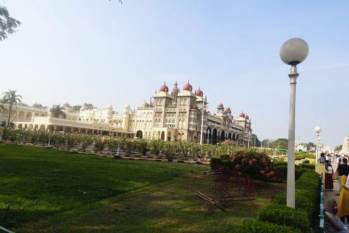 Bandipur & Kabini Wildlife Safari with Mysore Palace and Somanathapura Temple photo 4