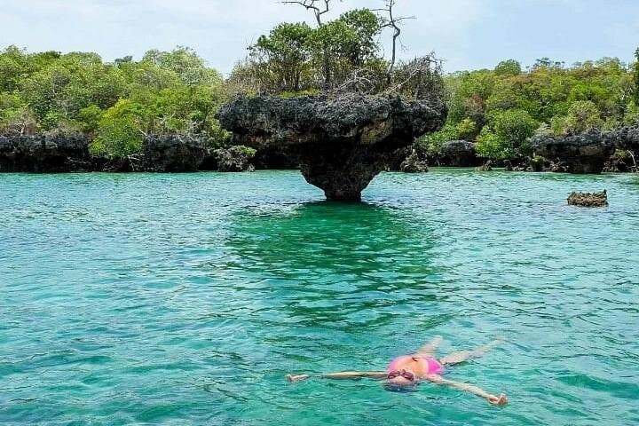 Zanzibar Safari Blue Private Tour: Full-Day Snorkel, Seafood BBQ & Sunset