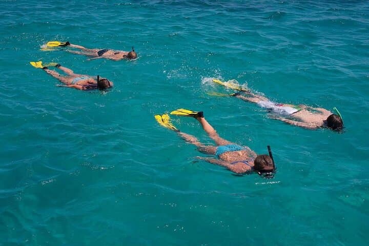 Full-Day Mnemba Snorkel, Turtle Swim & Sunset BBQ in Zanzibar photo 3