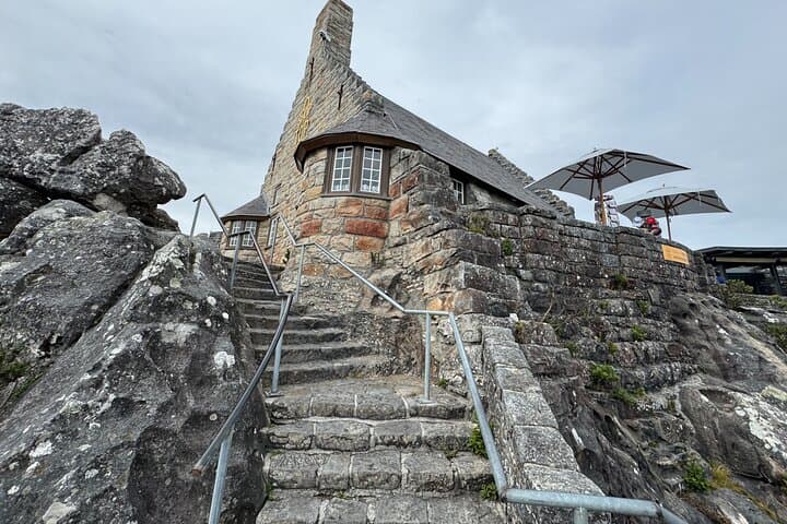 Table Mountain & Robben Island: Full-Day Cape Town Tour with Pre-Booked Tickets photo 3