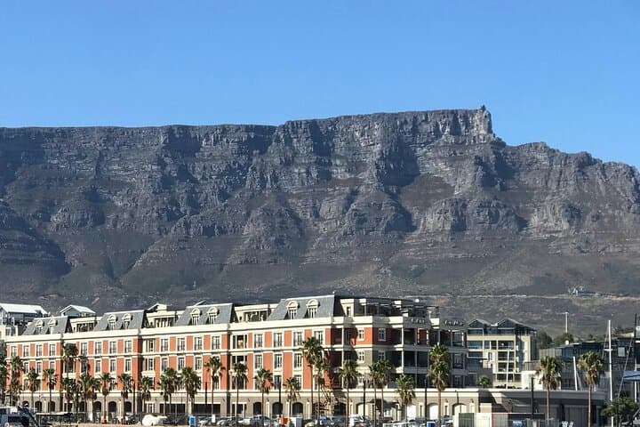 Table Mountain & Robben Island: Full-Day Cape Town Tour with Pre-Booked Tickets photo 5