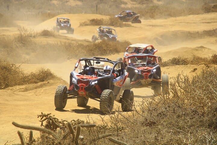 Cabo Desert & Beach Off-Road Adventure: Dunes, Cliffs & Tequila Tasting photo 3
