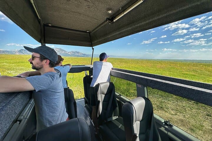 Roaming Bison Safari at Rocky Mountain Arsenal: Denver Wildlife Drive Experience photo 3