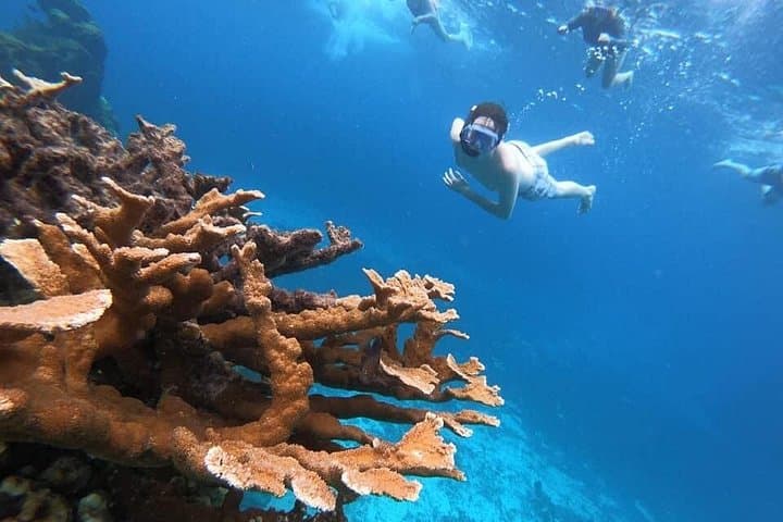 Private Cozumel Charter: Snorkel Reefs, Fish Punta Sur & Relax at El Cielo photo 3