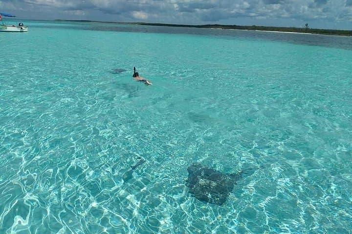 Private Cozumel Charter: Snorkel Reefs, Fish Punta Sur & Relax at El Cielo photo 5