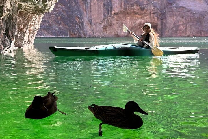 Paddle the Tranquil Emerald Cave: Self-Guided Kayak Adventure from Willow Beach photo 3