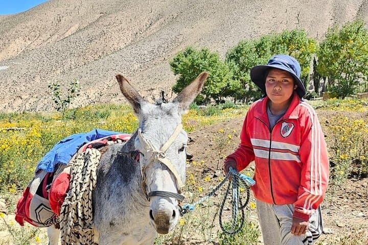 Humahuaca, Hornocal & Iruya: 2-Day 4x4 Adventure from Salta