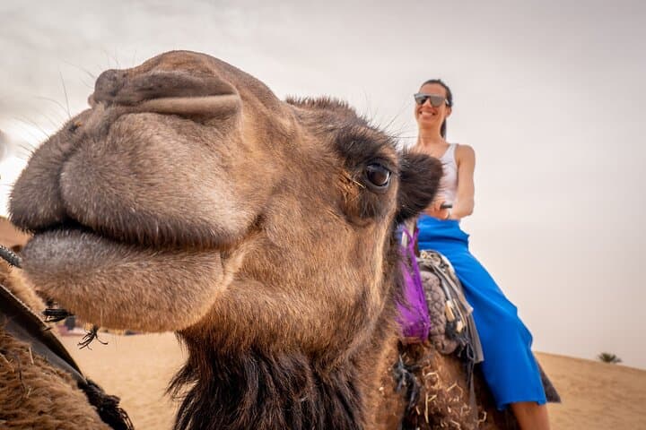 4-Day Merzouga Desert Tour from Marrakech: Camel Rides, Dunes & Berber Camp photo 3
