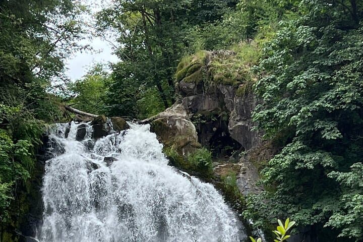 Falls, Forts & Coastal Countryside: Fort Clatsop and Youngs River Falls Half-Day Tour photo 1