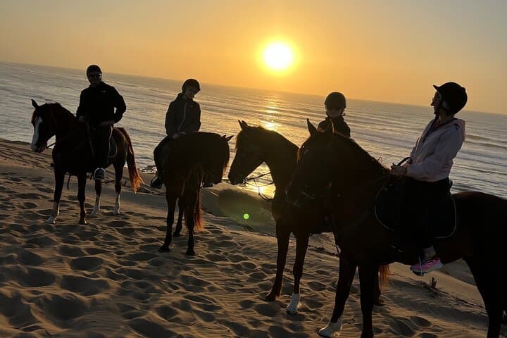 Sunset Horseback Ride on Essaouira Beach — 2-Hour Gallop Through Dunes & Forest photo 4