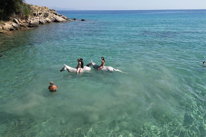 Zakynthos Horseback Riding & Beach Swim Experience photo 4