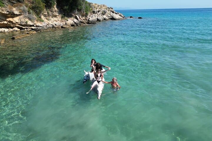 Zakynthos Horseback Riding & Beach Swim Experience photo 6