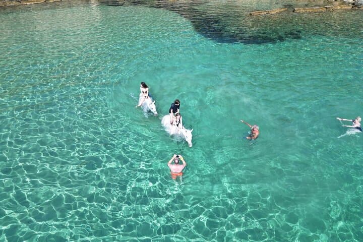 Zakynthos Horseback Riding & Beach Swim Experience photo 5