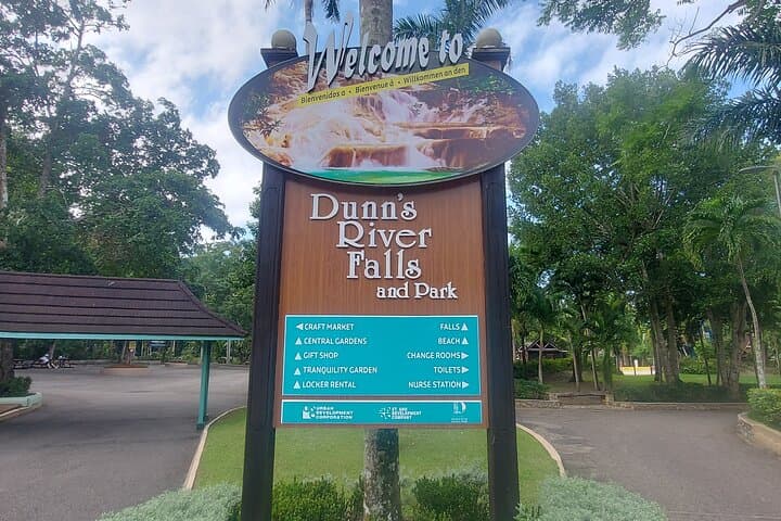 Private Dunn's River Falls Climb from Falmouth — Guided Waterfall Adventure photo 2