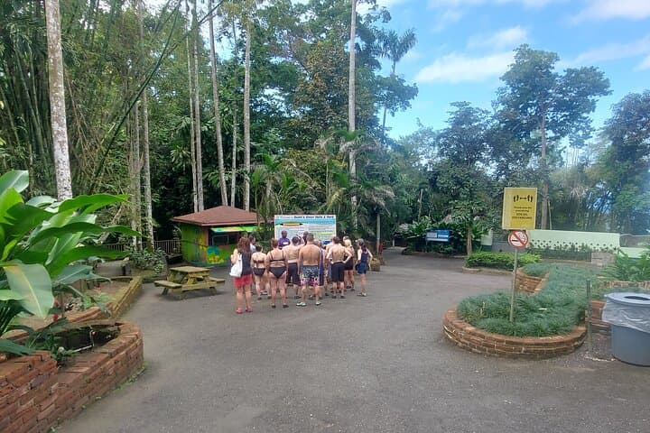 Climb Dunn's River Falls: A Private Day Trip from Montego Bay photo 2