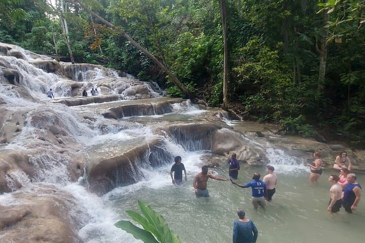 Climb Dunn's River Falls: A Private Day Trip from Montego Bay photo 5