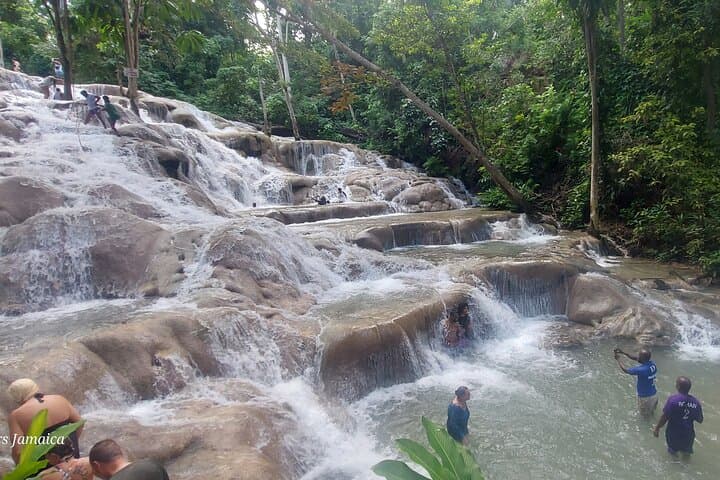 Climb Dunn's River Falls: A Private Day Trip from Montego Bay photo 6