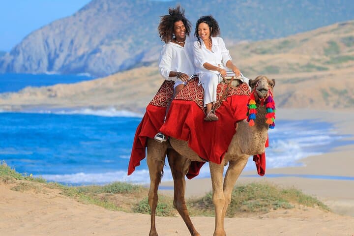 Cabo Beach Adventure: Camel Ride & Sky Bike at Migriño Beach photo 3