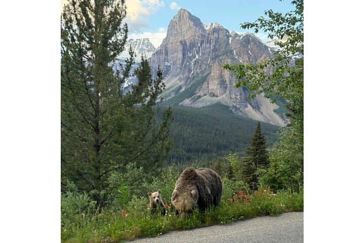 Moraine Lake and Lake Louise Half-Day Tour from Banff photo 4