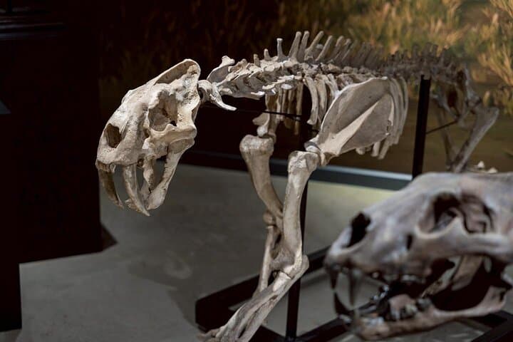 Thainosaur at Museum Pier: Thailand’s Prehistoric Beasts Revealed