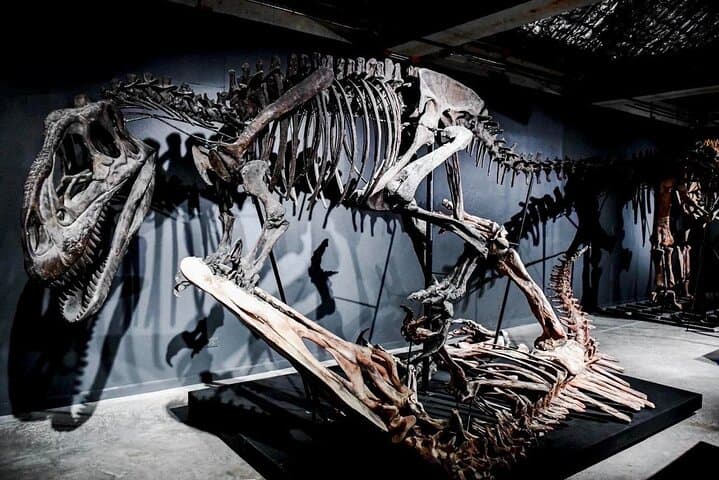 Thainosaur at Museum Pier: Thailand’s Prehistoric Beasts Revealed photo 3